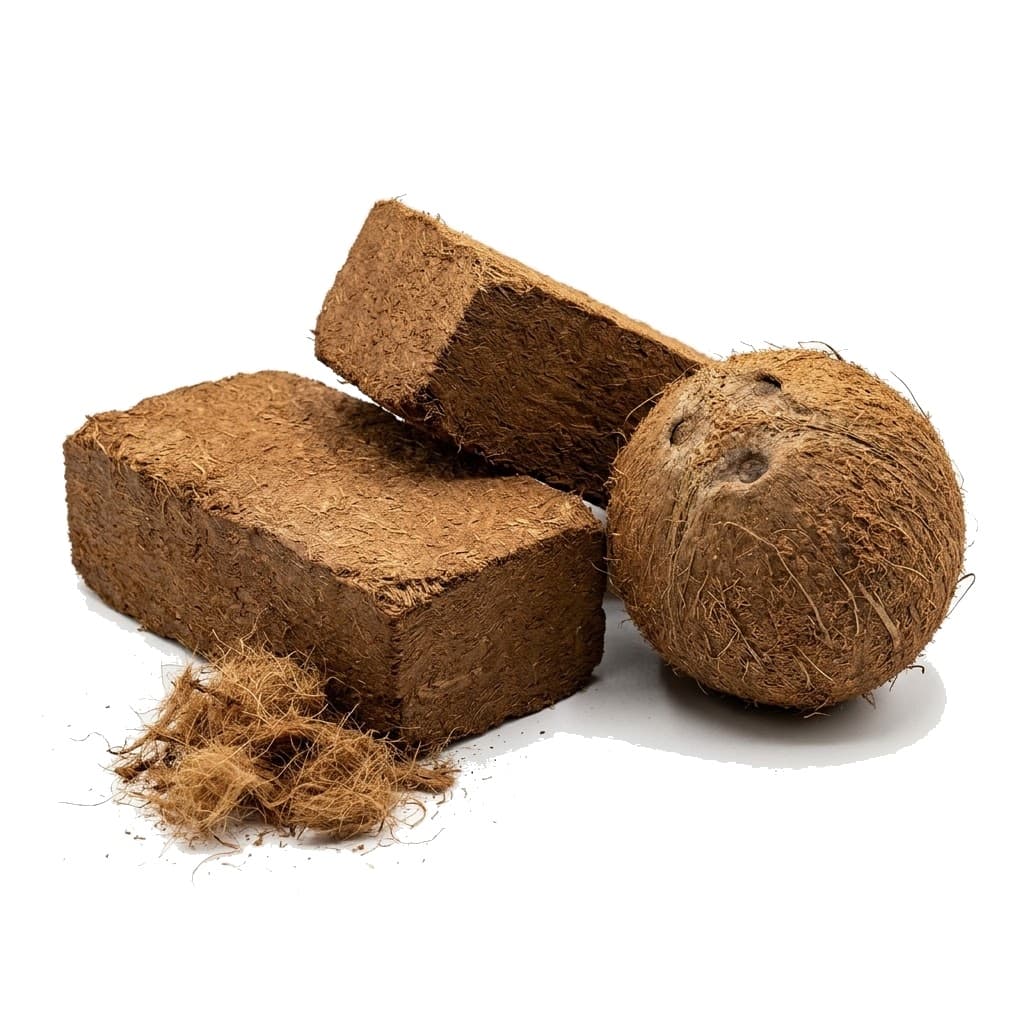 Coco — compressed coconut-coir bricks beside a whole coconut