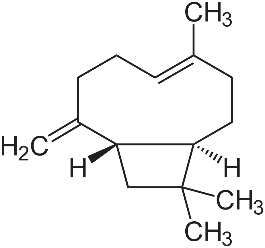 Skeletal formula of Caryophyllene