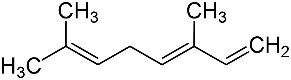 Skeletal formula of Ocimene